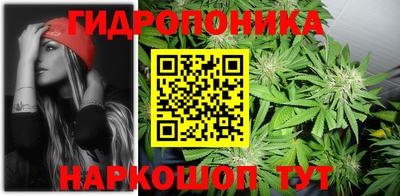 тгк Будённовск