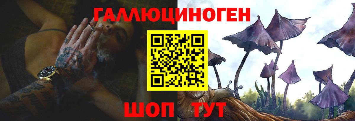 Галлюциногенные грибы Psilocybe  Галлюциногенные грибы MAGIC MUSHROOMS  Вход с VPN  где купить наркоту  Серов 